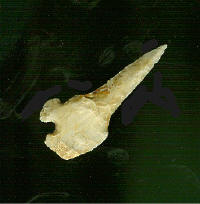 DMCornerTang Drill 1_small1.jpg