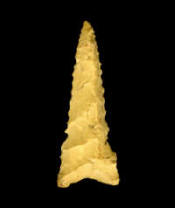 DMDalton13_smalln1n_small.jpg