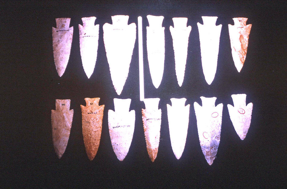 Fecht-21-sm.jpg