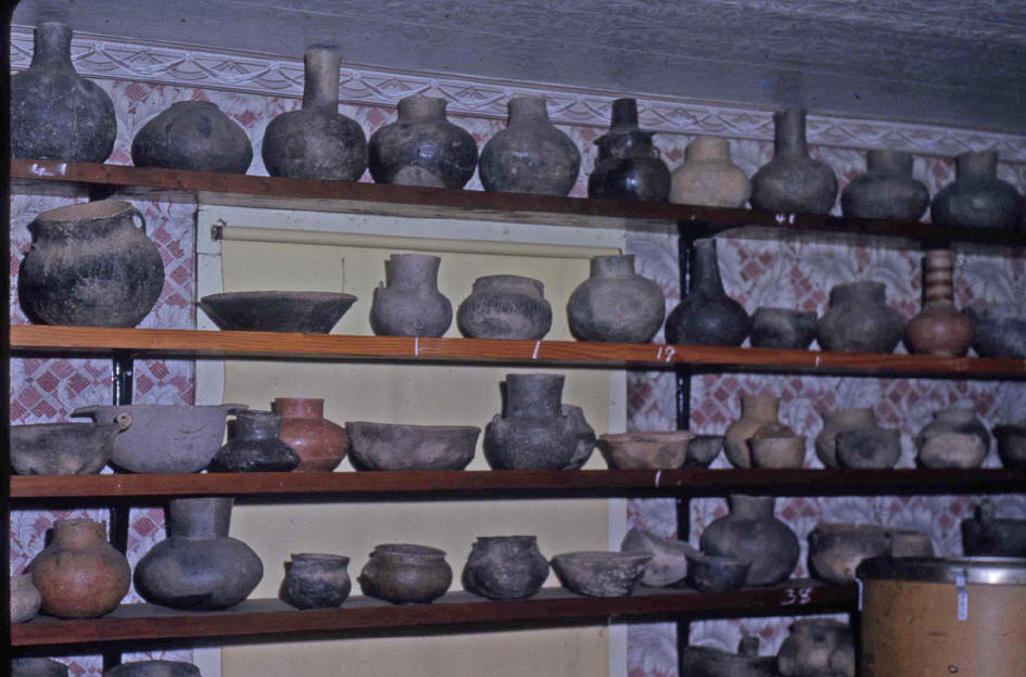 Scheel-17-sm.jpg