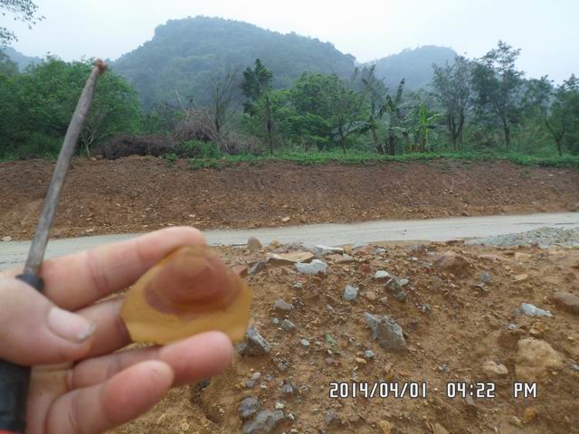 调整大小 SAM_6951.JPG