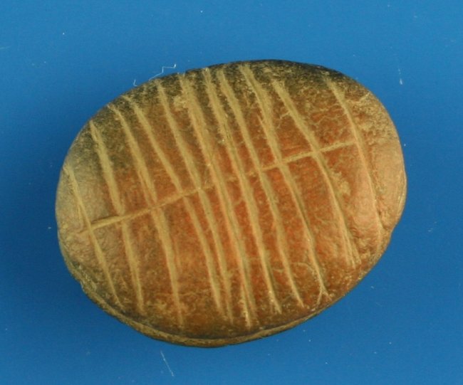 20333975_1_l.jpg