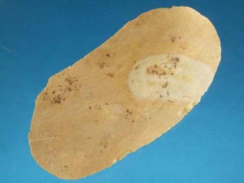25875979_2_l.jpg