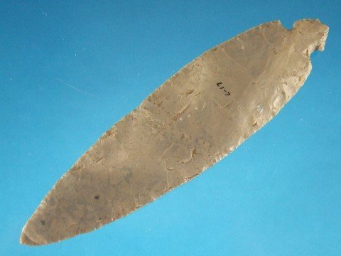 25876511_2_l.jpg