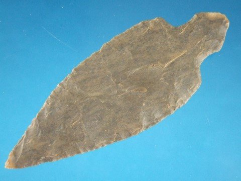 25876515_1_l.jpg
