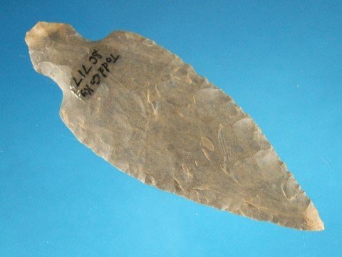 25876515_2_l.jpg