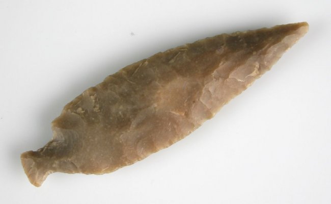 25872793_2_l.jpg