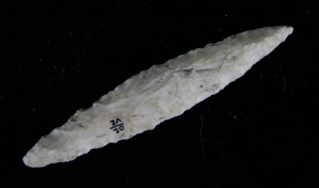 25872725_2_l.jpg