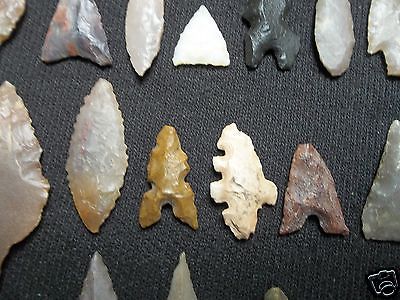 $_1 (28).JPG
