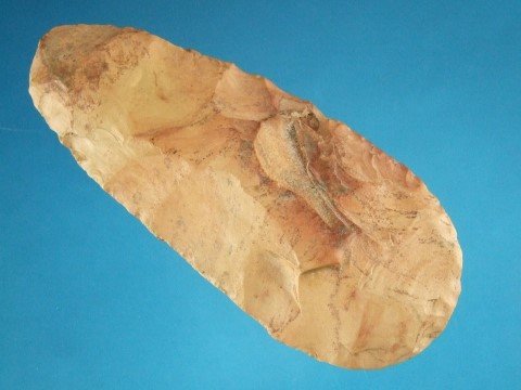 25876109_2_l.jpg