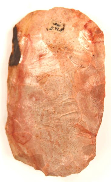 15906494_2_l.jpg