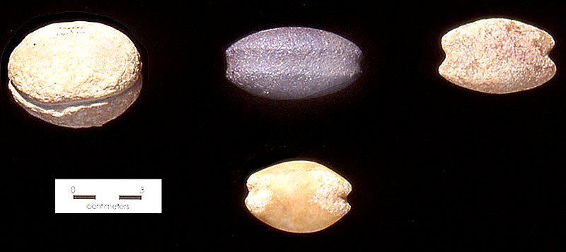 Lithics-MB1-lg.jpg