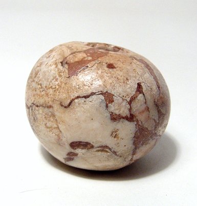 24093653_3_l.jpg