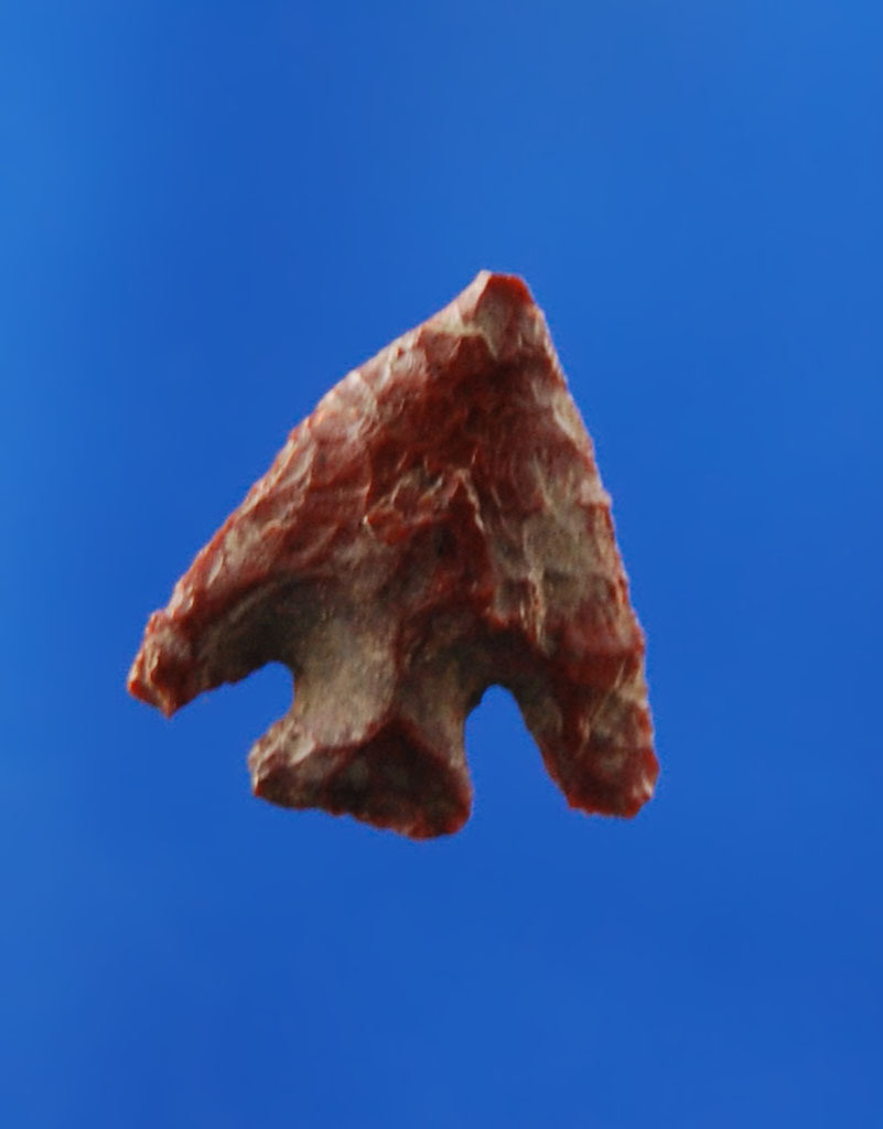 115_2.jpg