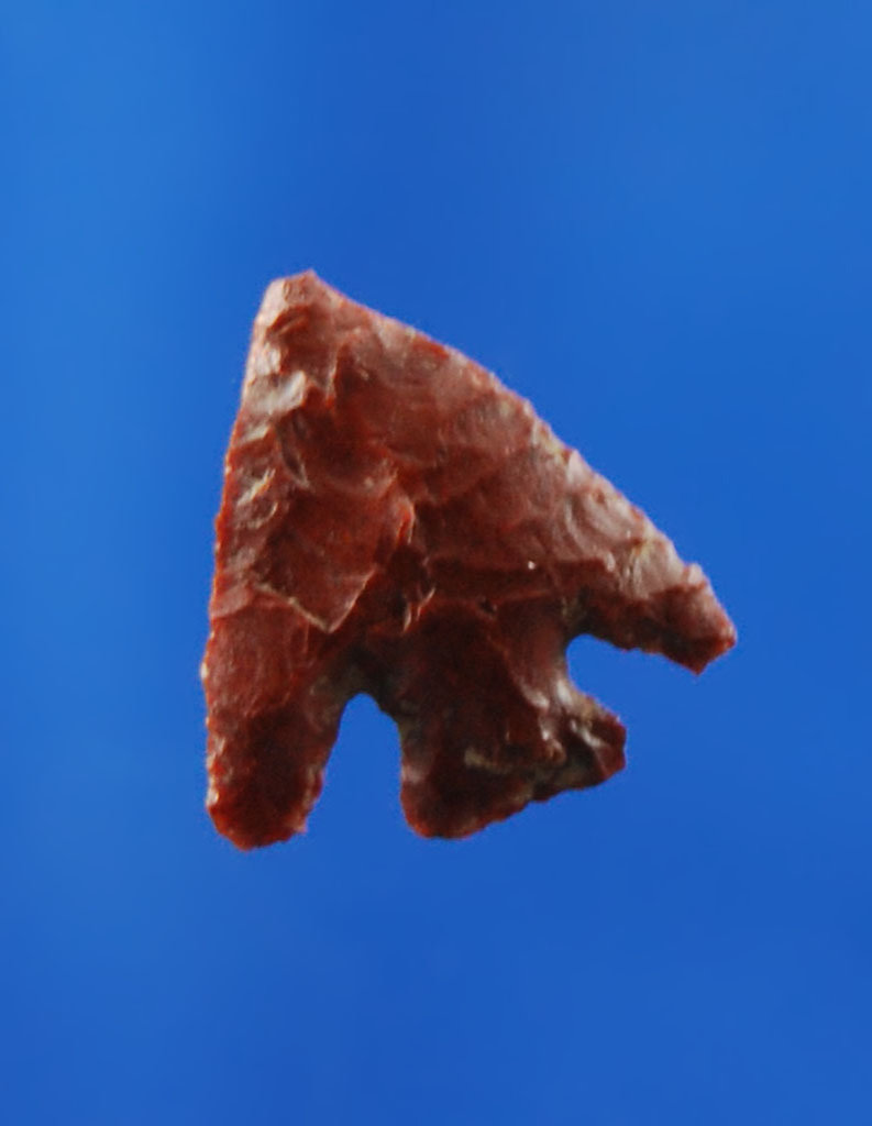 115.jpg