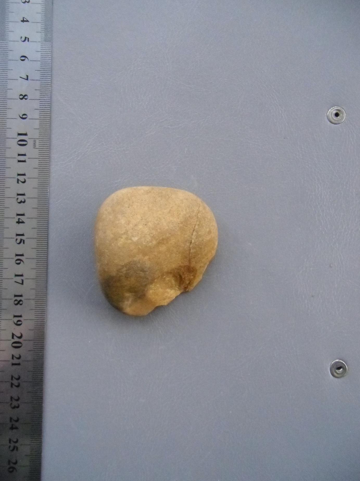 CIMG6217.JPG