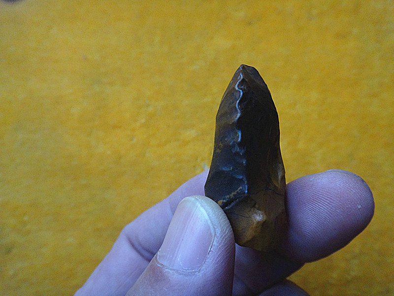 DSC01011_副本.jpg