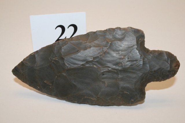 26698321_2_l.jpg