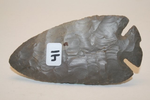 26698361_1_l.jpg