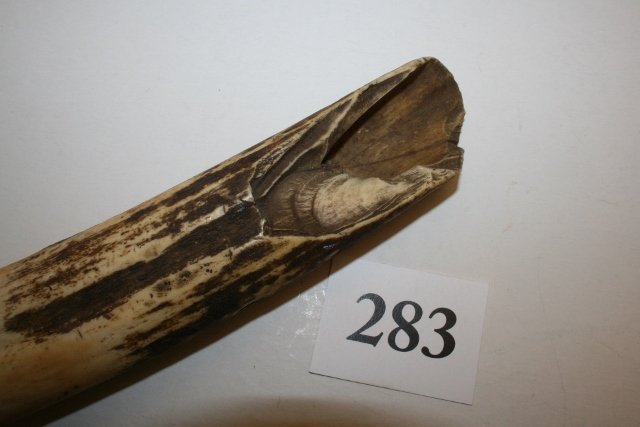 24615272_3_l.jpg