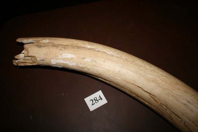 24615274_3_l.jpg