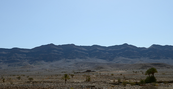 DSC_6950.JPG