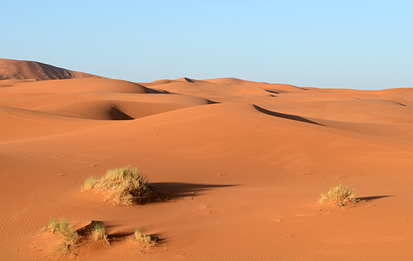 DSC_7166.JPG