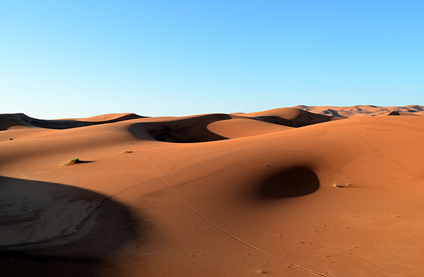 DSC_7178.JPG