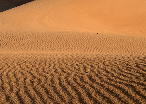 DSC_7205.JPG