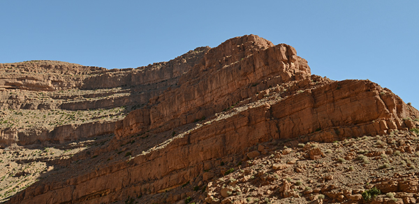 DSC_7338.JPG