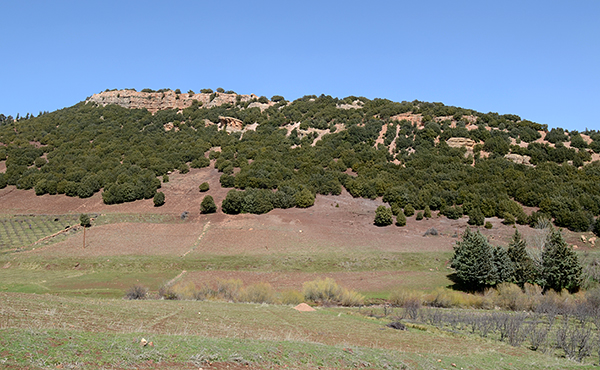 DSC_7593.JPG