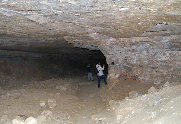 DSC_4910.JPG