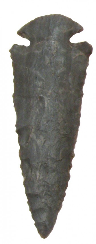 10651198_1_l.jpg