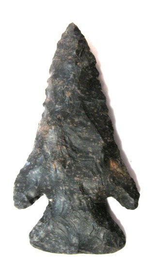 10651234_1_l.jpg