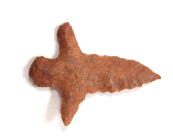 10651263_2_l.jpg