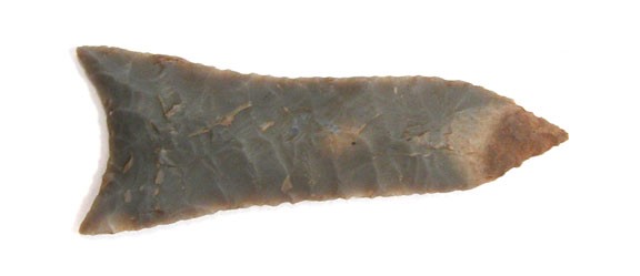 10651264_1_l.jpg