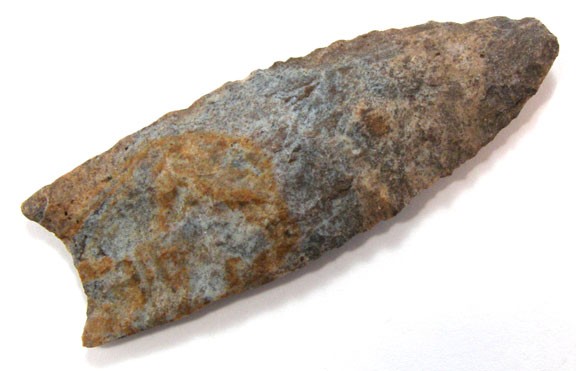 10651359_1_l.jpg