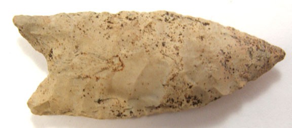 10651371_1_l.jpg