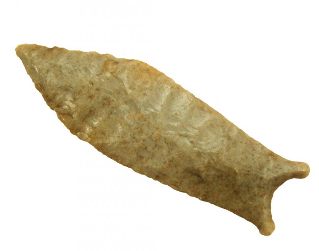 10651376_1_l.jpg