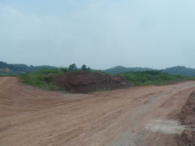 调整大小 SAM_7513.JPG