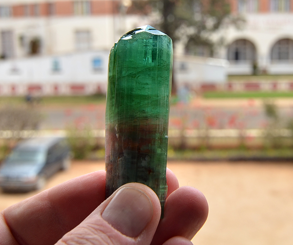 DSC_4789.jpg