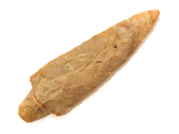 10651386_1_l.jpg