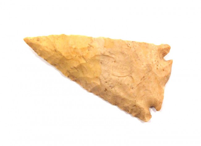 10651460_1_l.jpg