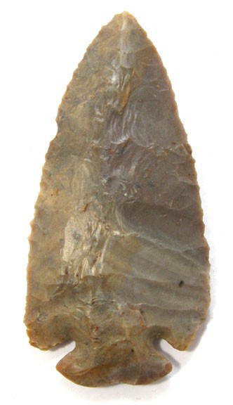 10651459_2_l.jpg