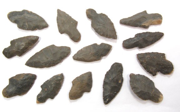 10651558_2_l.jpg