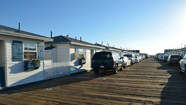 DSC_9848.jpg