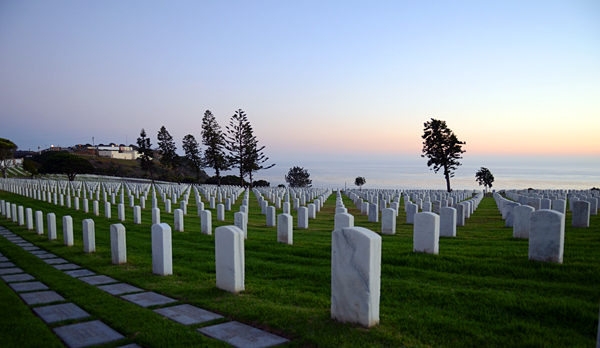 DSC_9913.jpg