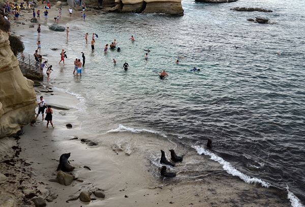 DSC_0738.jpg