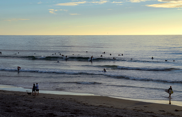 DSC_0742.jpg