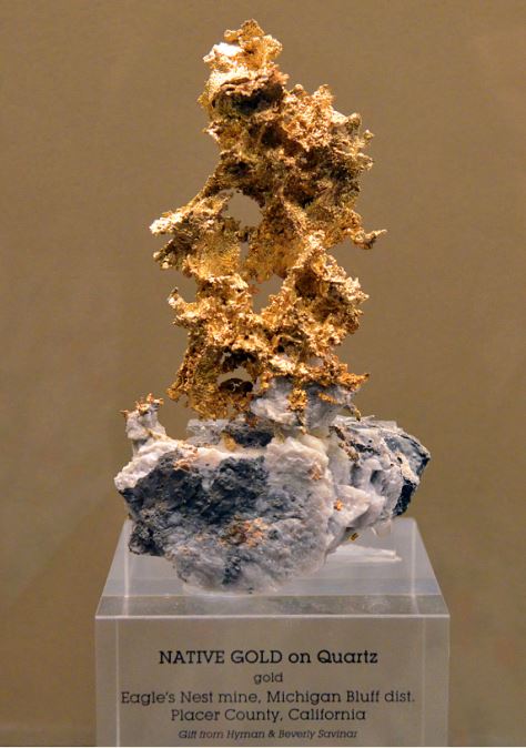 DSC_1979.jpg